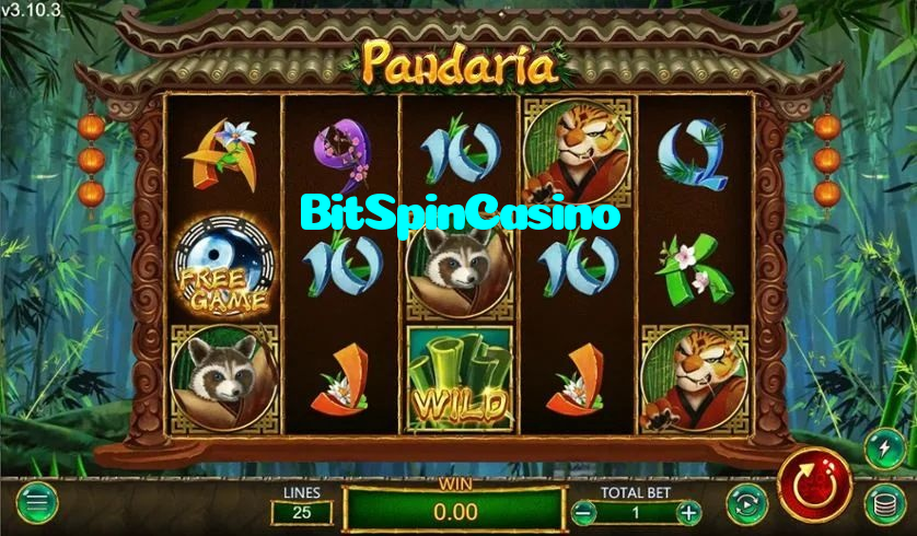 making first deposit on BitSpinCasino website using local payment methods in Pakistan